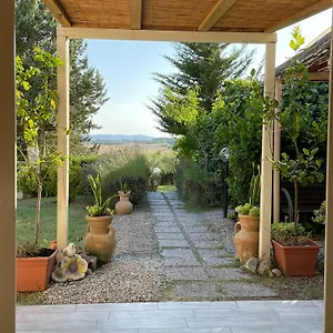 Il Lavandeto - In The Siena